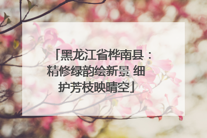 黑龙江省桦南县：精修绿韵绘新景 细护芳枝映晴空