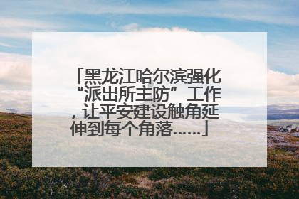 黑龙江哈尔滨强化“派出所主防”工作，让平安建设触角延伸到每个角落……
