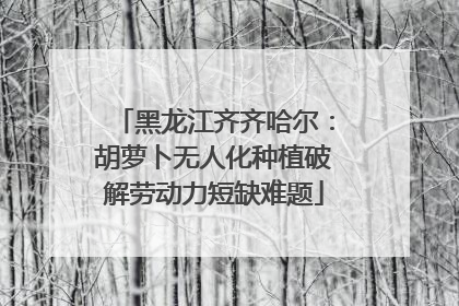 黑龙江齐齐哈尔：胡萝卜无人化种植破解劳动力短缺难题