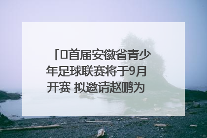 ﻿首届安徽省青少年足球联赛将于9月开赛 拟邀请赵鹏为先导赛开球