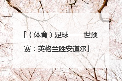 （体育）足球——世预赛：英格兰胜安道尔