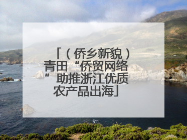 （侨乡新貌）青田“侨贸网络”助推浙江优质农产品出海