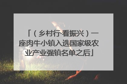 （乡村行·看振兴）一座肉牛小镇入选国家级农业产业强镇名单之后