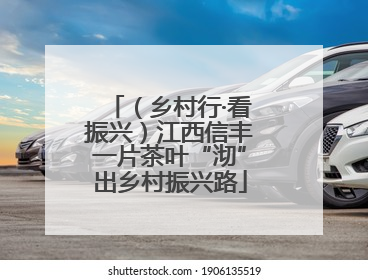 （乡村行·看振兴）江西信丰一片茶叶“沏”出乡村振兴路