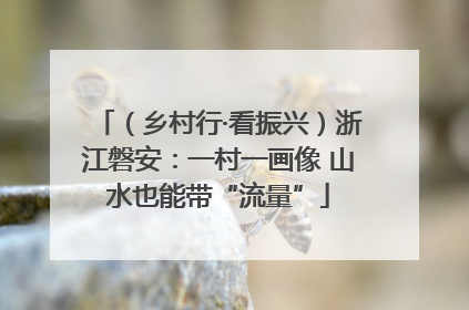 （乡村行·看振兴）浙江磐安：一村一画像 山水也能带“流量”
