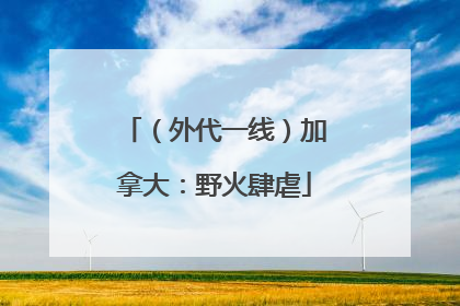 （外代一线）加拿大：野火肆虐