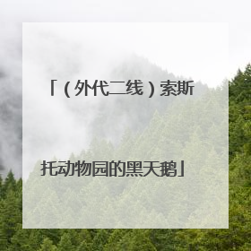 （外代二线）索斯托动物园的黑天鹅