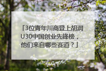 3位青年川商登上胡润U30中国创业先锋榜，他们来自哪些赛道？