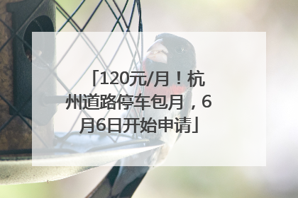 120元/月！杭州道路停车包月，6月6日开始申请
