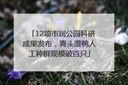 12项市属公园科研成果发布，青头潜鸭人工种群规模破百只
