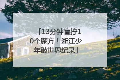 13分钟盲拧10个魔方！浙江少年破世界纪录