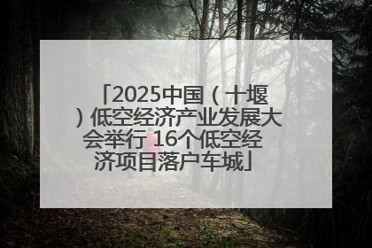 2025中国（十堰）低空经济产业发展大会举行 16个低空经济项目落户车城