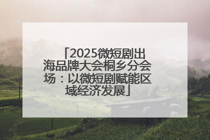 2025微短剧出海品牌大会桐乡分会场：以微短剧赋能区域经济发展