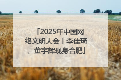 2025年中国网络文明大会丨李佳琦、董宇辉现身合肥