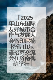 2025年山东国际友好城市合作与发展大会暨印尼楠榜省·山东省招商交流会在济南槐荫举行