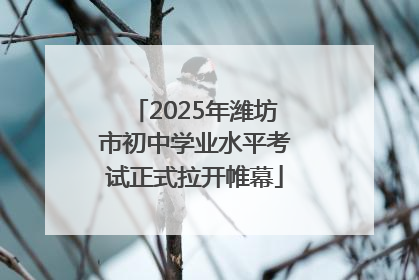 2025年潍坊市初中学业水平考试正式拉开帷幕