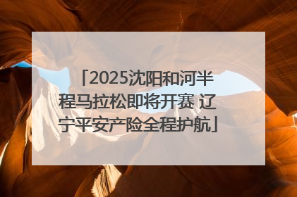 2025沈阳和河半程马拉松即将开赛 辽宁平安产险全程护航