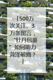 500万次关注、3万条留言，“牡丹包裹”如何助力菏泽破圈？