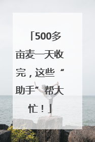 500多亩麦一天收完，这些“助手”帮大忙！