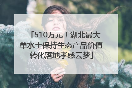 510万元！湖北最大单水土保持生态产品价值转化落地孝感云梦