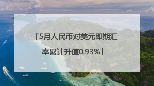 5月人民币对美元即期汇率累计升值0.93%
