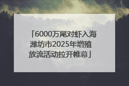 6000万尾对虾入海 潍坊市2025年增殖放流活动拉开帷幕
