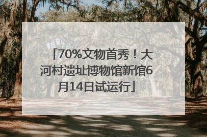 70%文物首秀！大河村遗址博物馆新馆6月14日试运行
