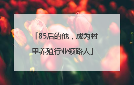 85后的他，成为村里养殖行业领路人