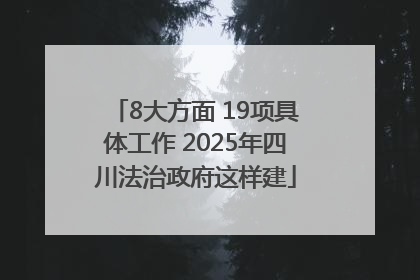8大方面 19项具体工作 2025年四川法治政府这样建