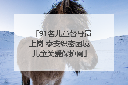 91名儿童督导员上岗 泰安织密困境儿童关爱保护网
