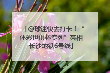 @球迷快去打卡！“体彩世俱杯专列”亮相长沙地铁6号线