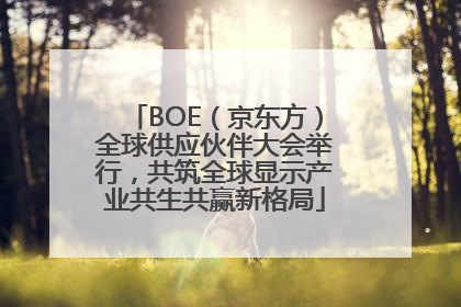 BOE（京东方）全球供应伙伴大会举行，共筑全球显示产业共生共赢新格局