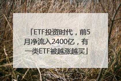 ETF投资时代，前5月净流入2400亿，有一类ETF被越涨越买